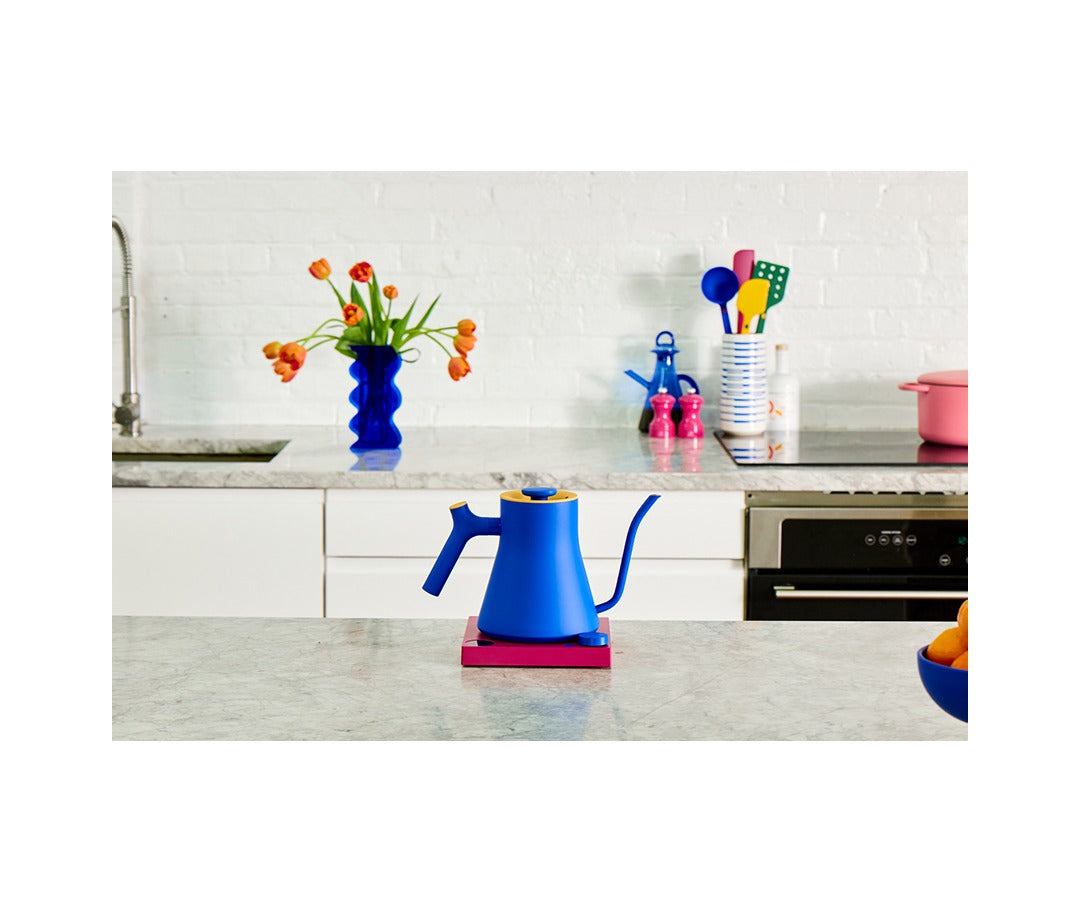 Great Jones x Fellow EKG Pro Kettle